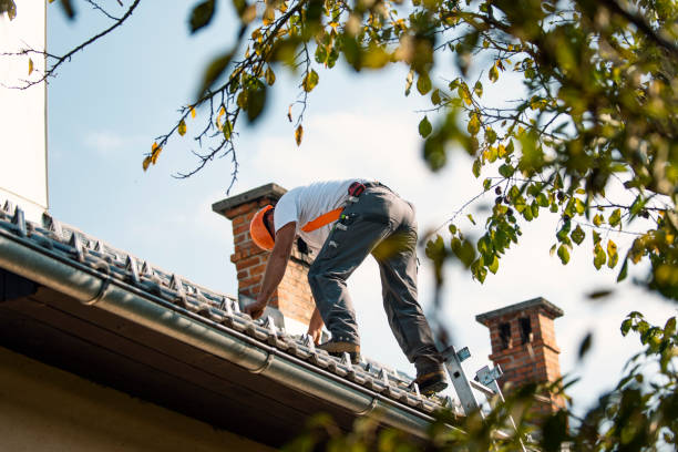 Roof Gutter Cleaning in Mulino, OR